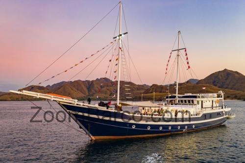 Seahorse 56 ficha tecnica